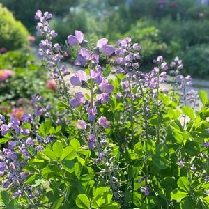 Meet your Posher, Autumn